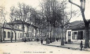 2575- Djidjelli - Avenue Gadaigne - 1916